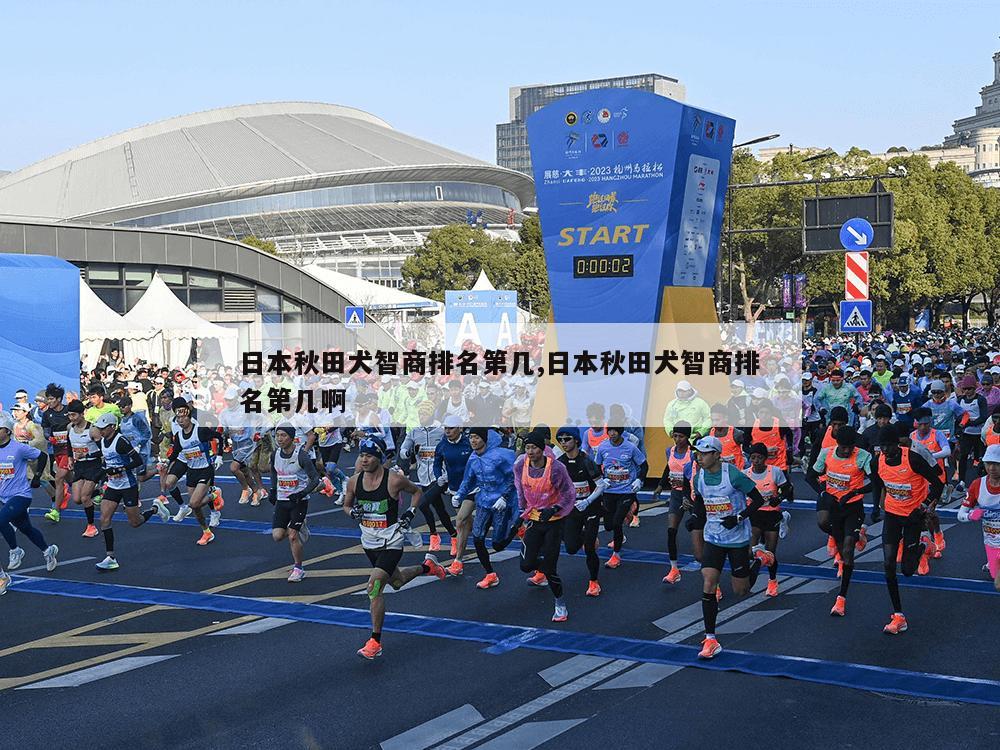 日本秋田犬智商排名第几,日本秋田犬智商排名第几啊