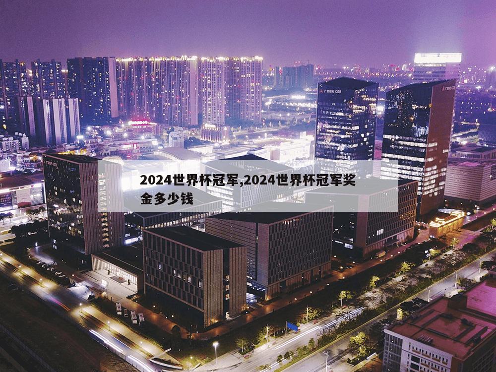 2024世界杯冠军,2024世界杯冠军奖金多少钱