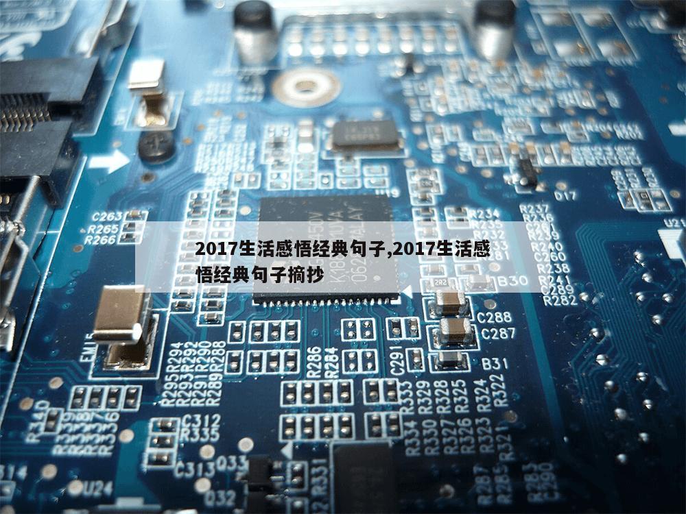 2017生活感悟经典句子,2017生活感悟经典句子摘抄