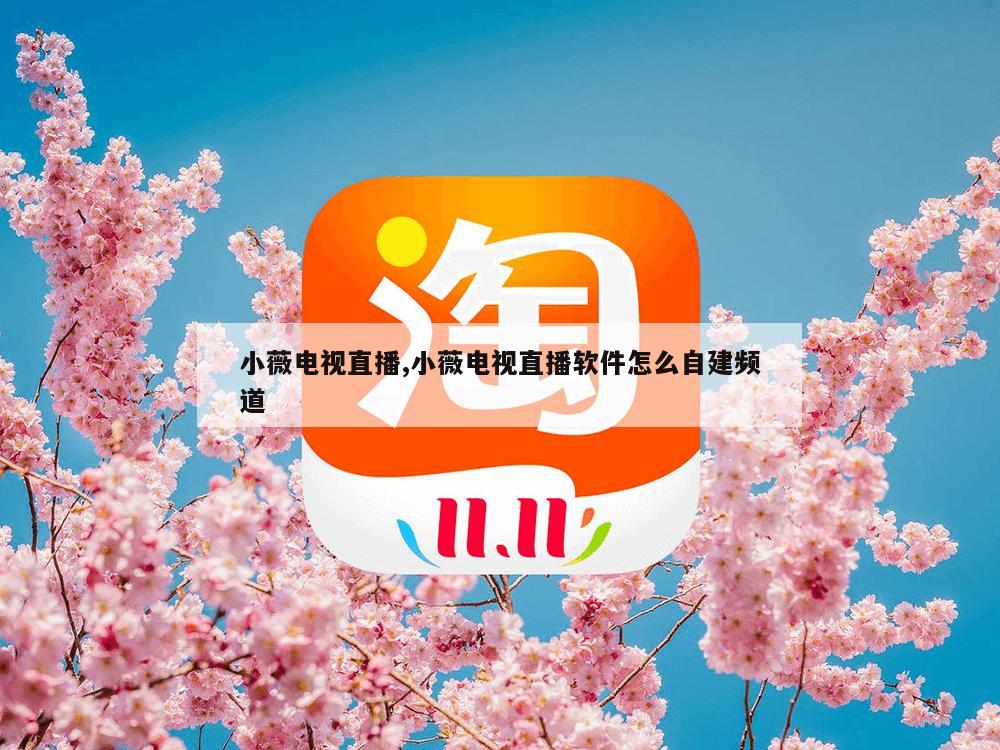 小薇电视直播,小薇电视直播软件怎么自建频道