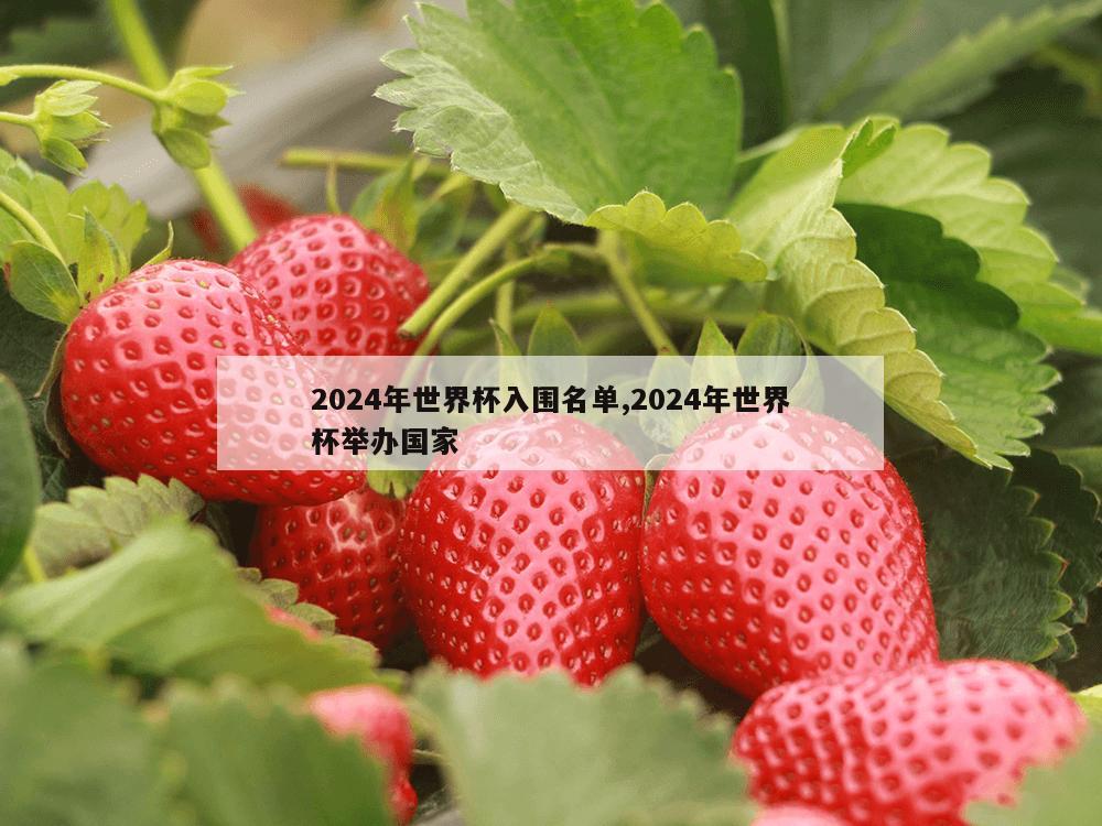 2024年世界杯入围名单,2024年世界杯举办国家